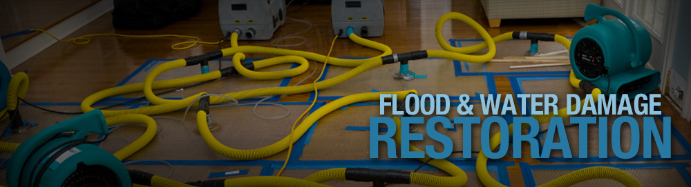 lotus water damage cleaning services Robertson