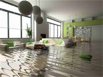  Water Damage Cleaning